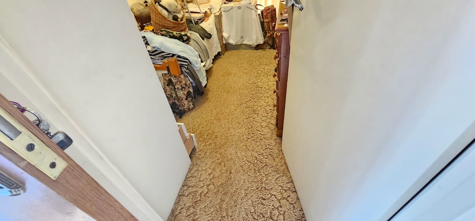 WhatsApp Image 2026-03-07 at 6.53.08 AM