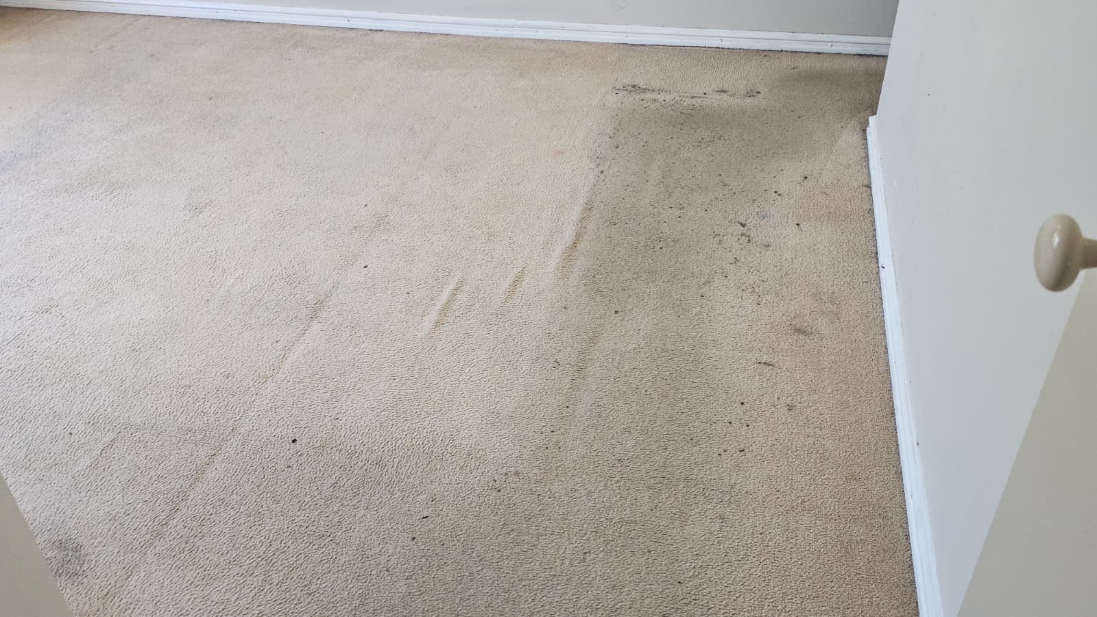 WhatsApp Image 2026-03-07 at 6.53.30 AM