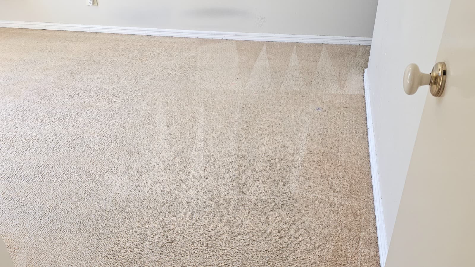 WhatsApp Image 2026-03-07 at 6.53.31 AM