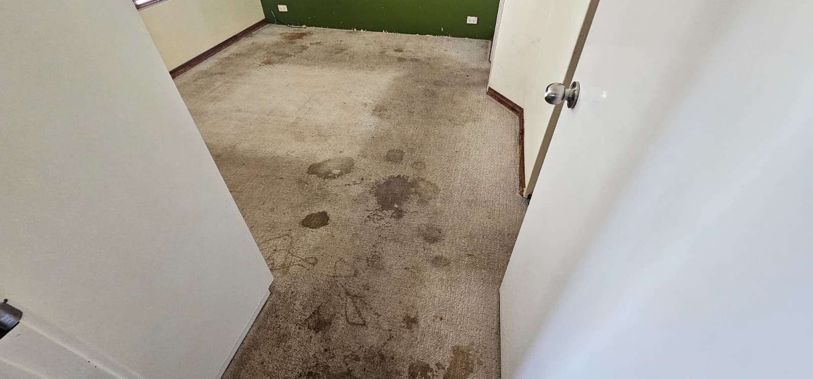 WhatsApp Image 2026-03-07 at 6.53.33 AM